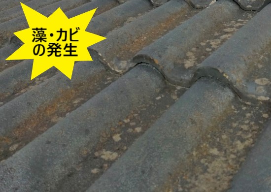 セメント瓦に藻やカビが発生している　熊本